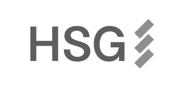 hongshan logo